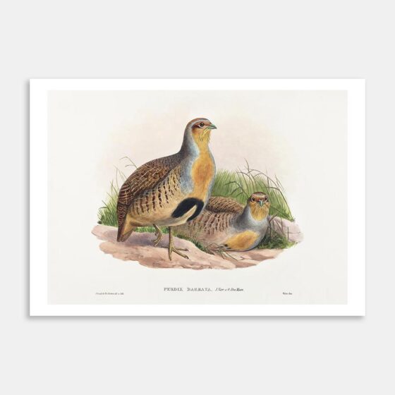 Art Print Two