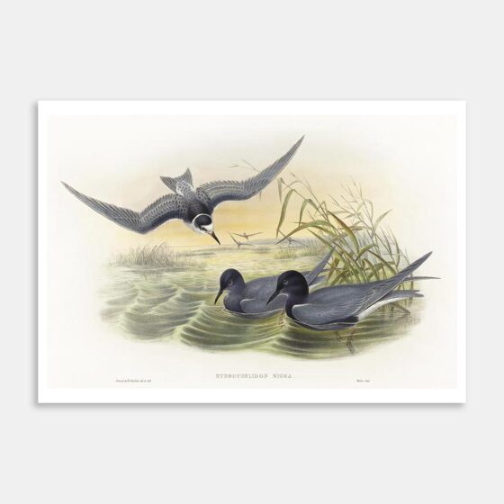 Art Print Five